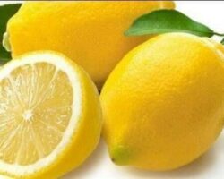 limon ve limon suyu faydaları